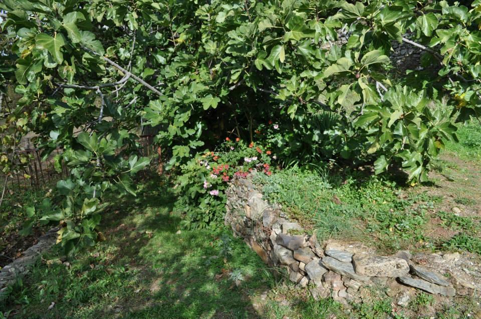 Mattale Villa Tonara Buitenkant foto