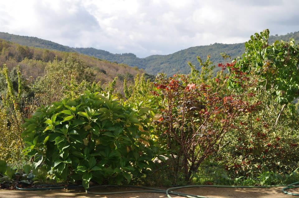 Mattale Villa Tonara Buitenkant foto